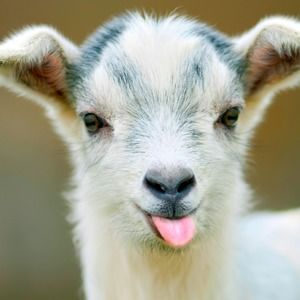 Meet your Posher, Addilyn